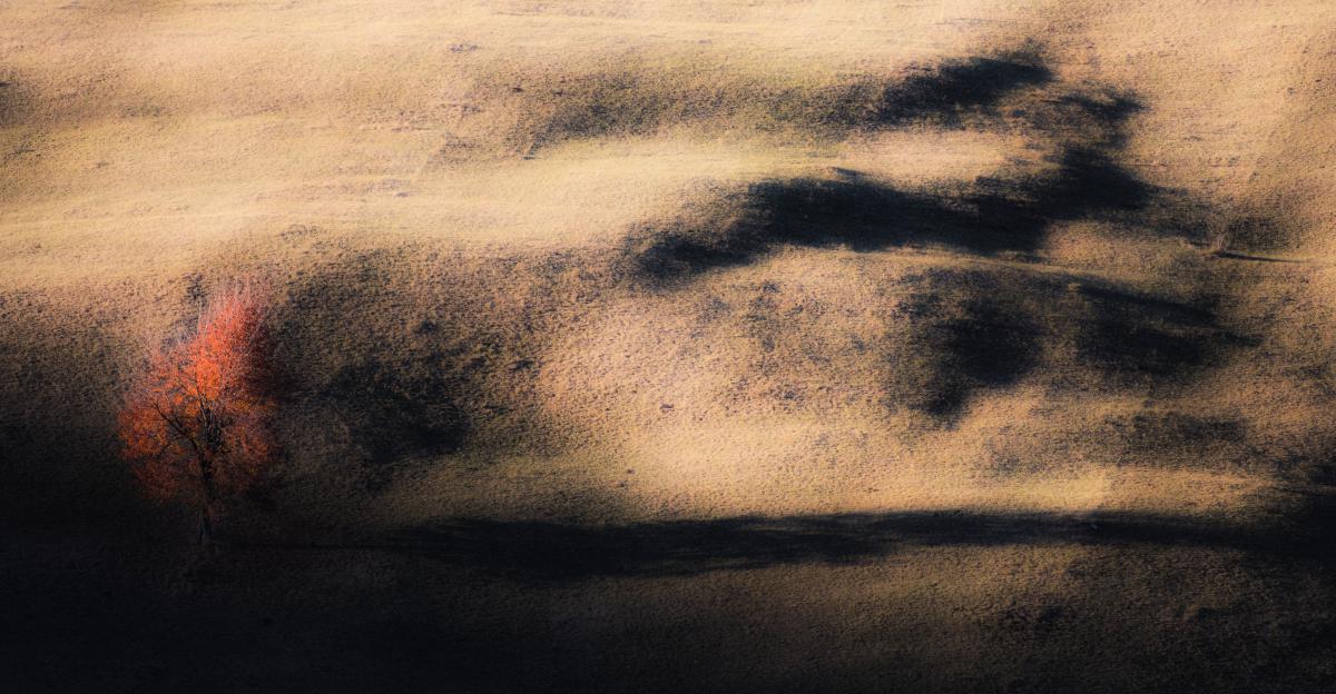 Szakolczai Krisztina