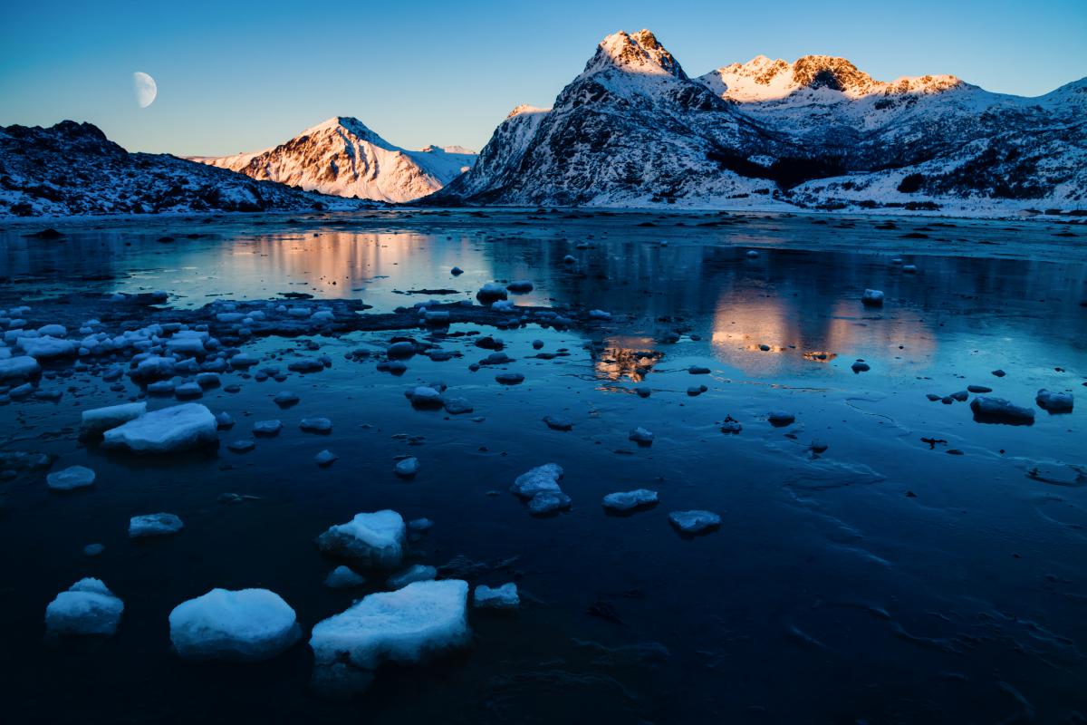 Szakolczai Krisztina