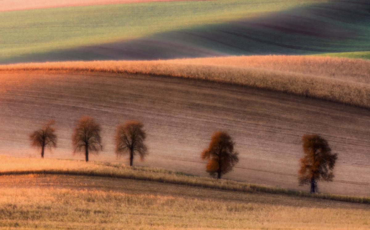 Szakolczai Krisztina