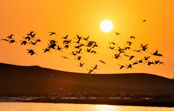 Repülés a naplementében