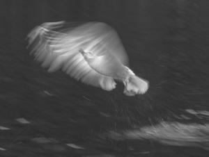 Mint egy angyal Mint egy angyal