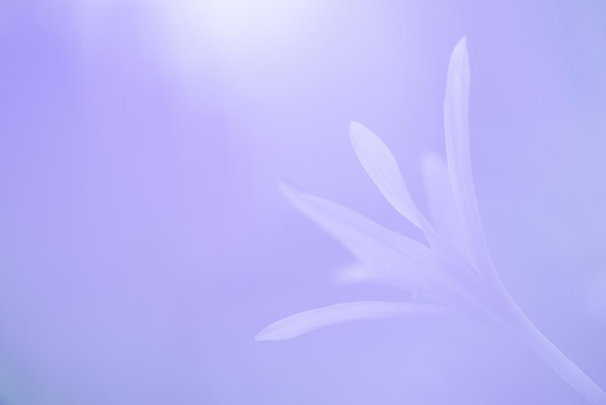 Darányiné Bakos Éva