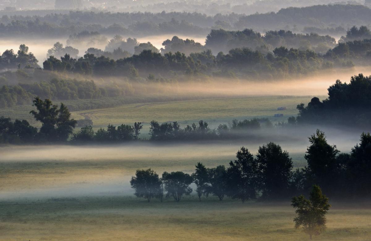 Násfayné Kőházi Mária