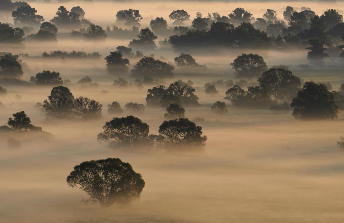 Násfayné Kőházi Mária