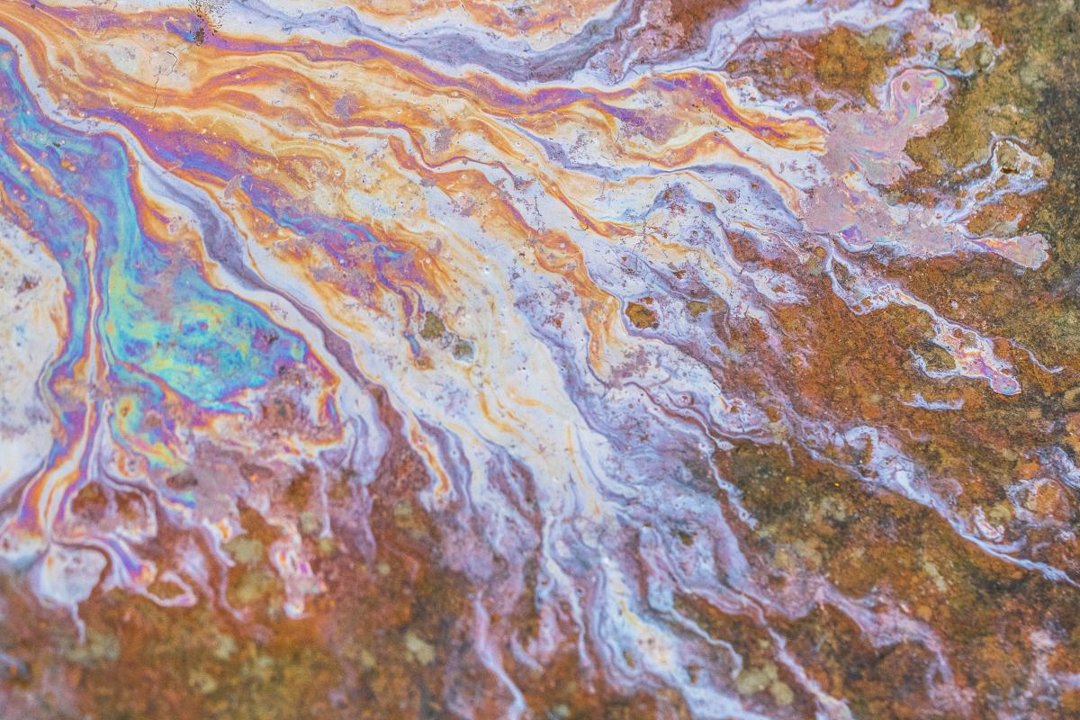 Koncz-Bisztricz Tamás