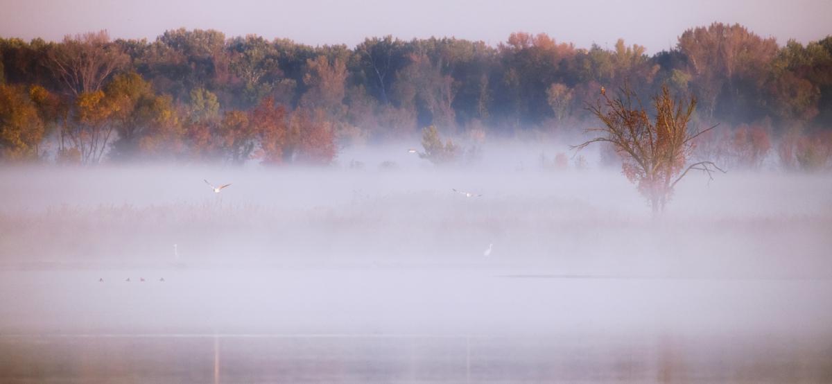 Szakolczai Krisztina