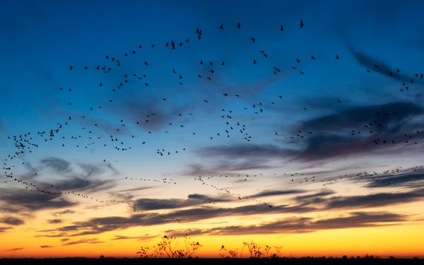 Színpompás éjszaka