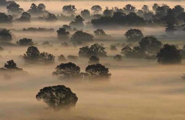 Hajnal a Bodrogzugban