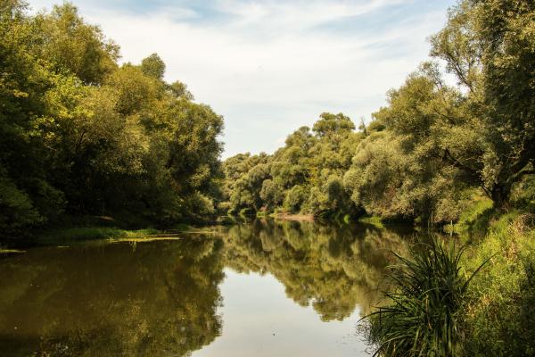 Csendes folyóparton