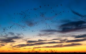 Színpompás éjszaka Színpompás éjszaka