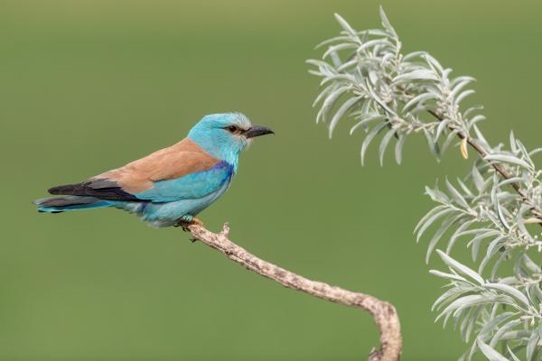 Hol marad ilyen sokáig?