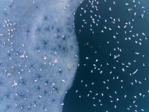 Világos és sötét