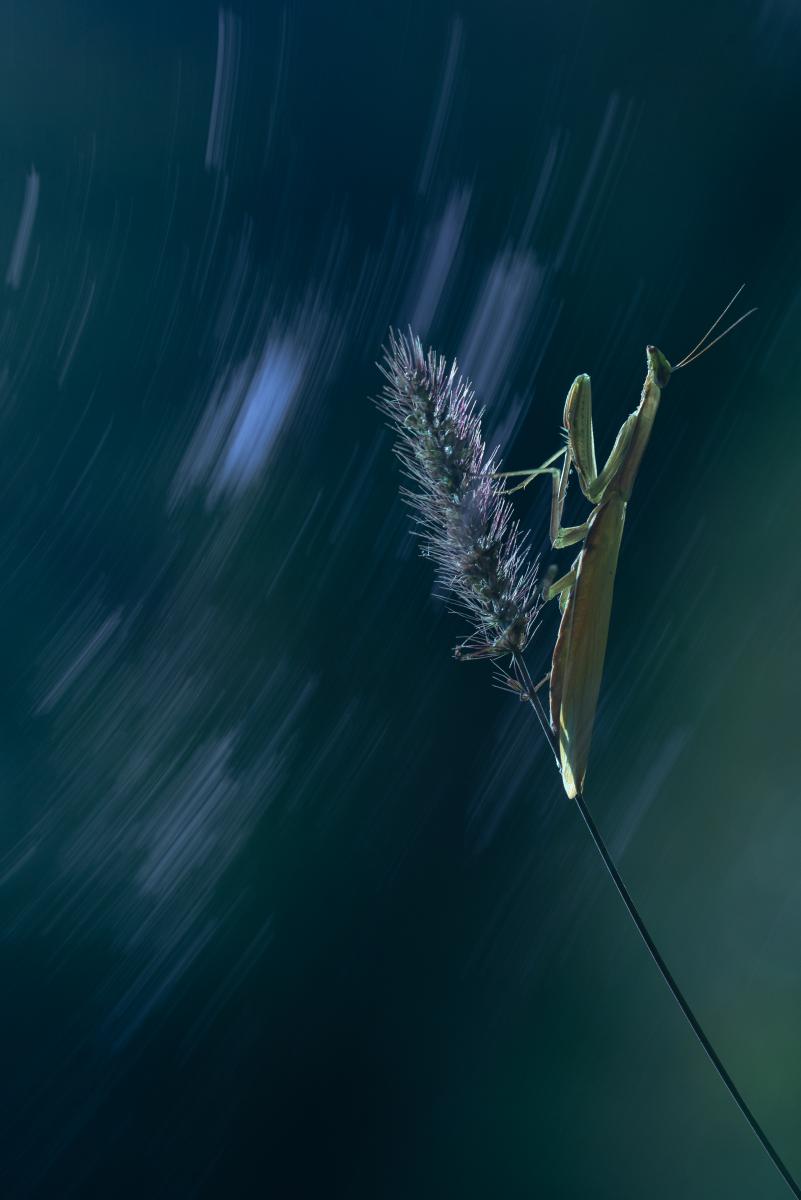 Darányiné Bakos Éva