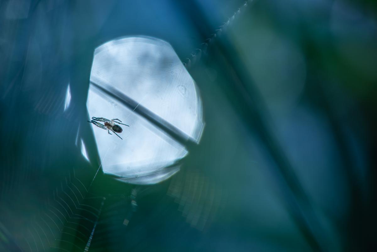 Darányiné Bakos Éva