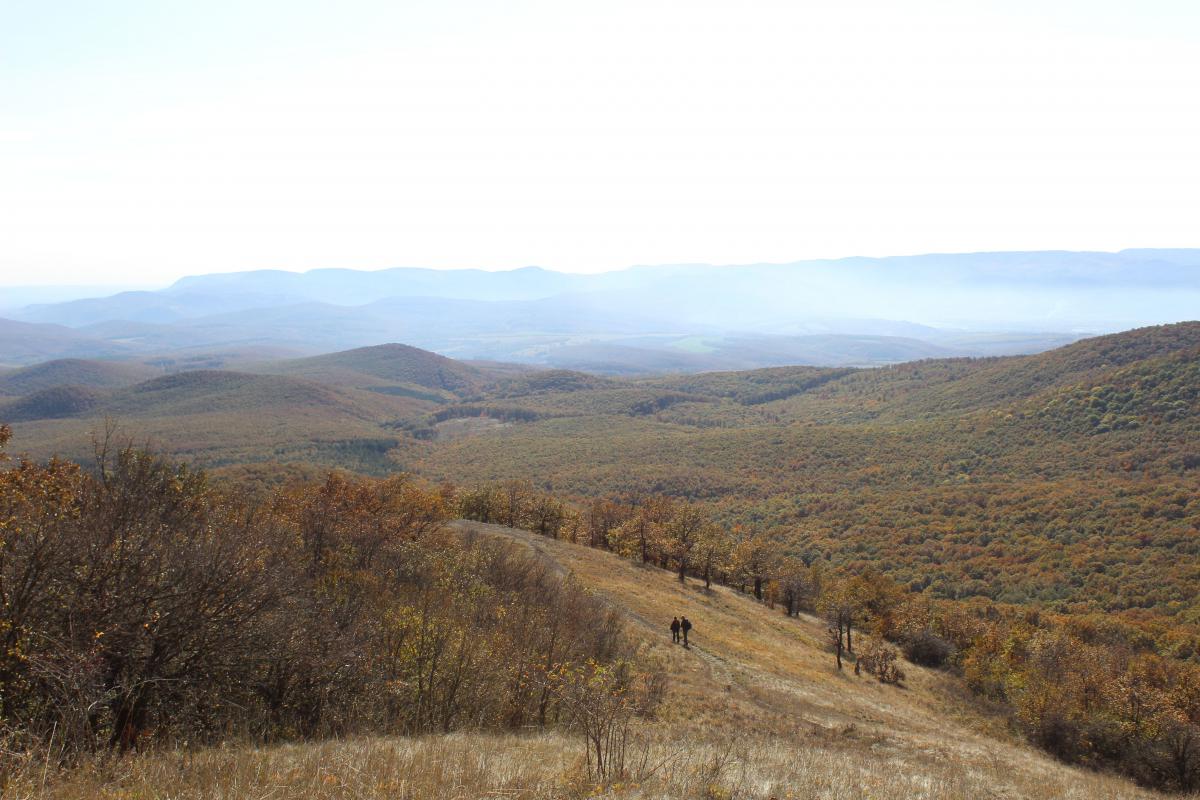 Schubkégel Krisztina