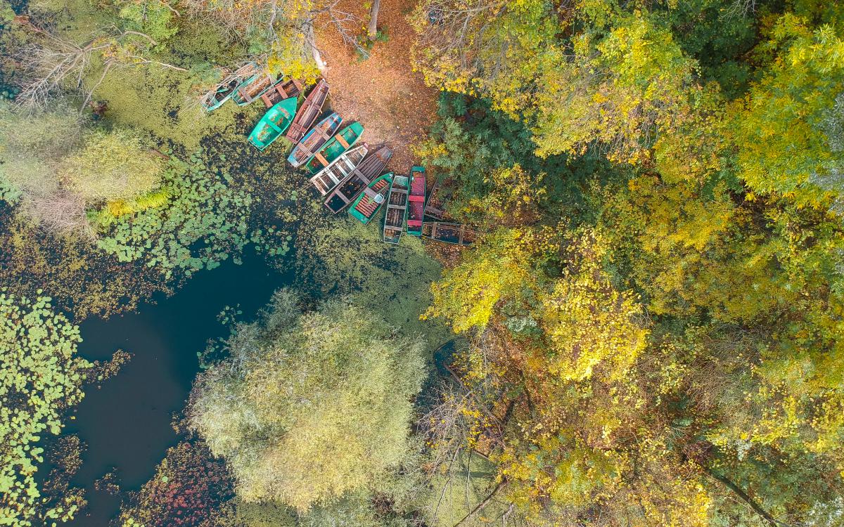 Koncz-Bisztricz Tamás