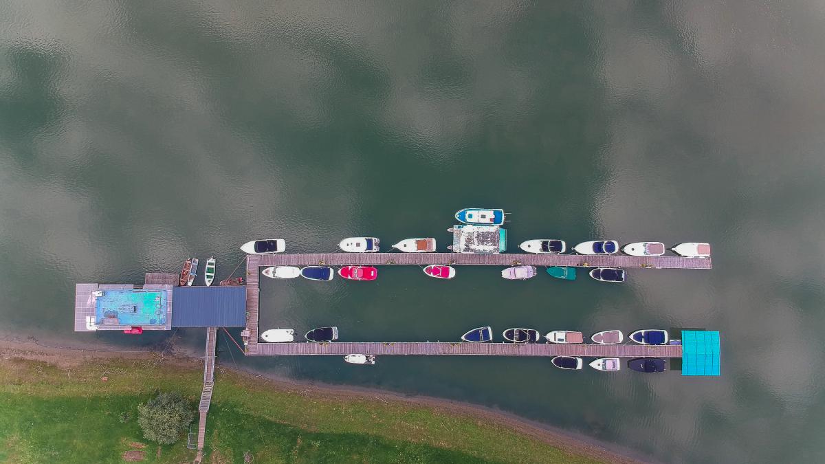 Koncz-Bisztricz Tamás