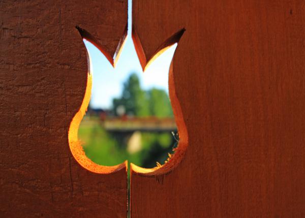 Tulipános fogadtatás