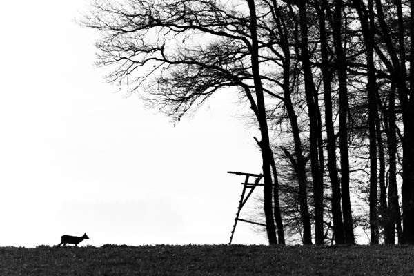 &quot;Veszélyzóna&quot;