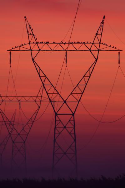 Kedvenc beszállónk