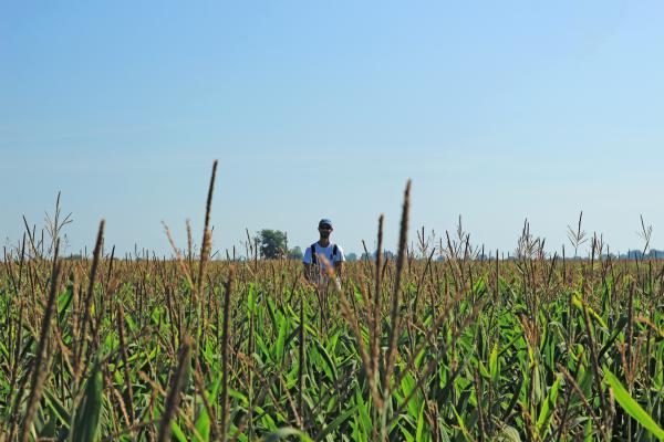 Kimagasló egyéniség