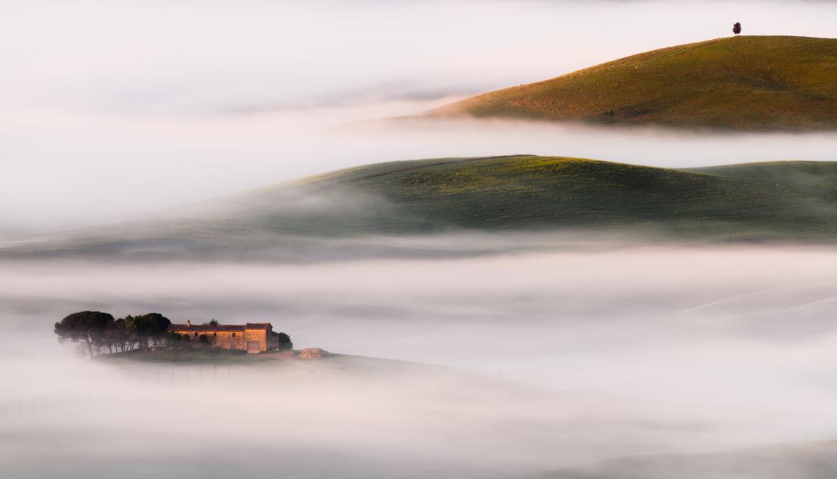 Szakolczai Krisztina