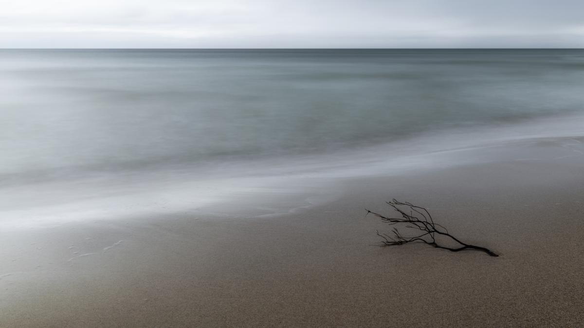 Szakolczai Krisztina