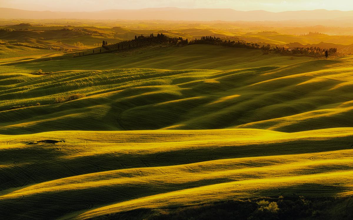 Szakolczai Krisztina