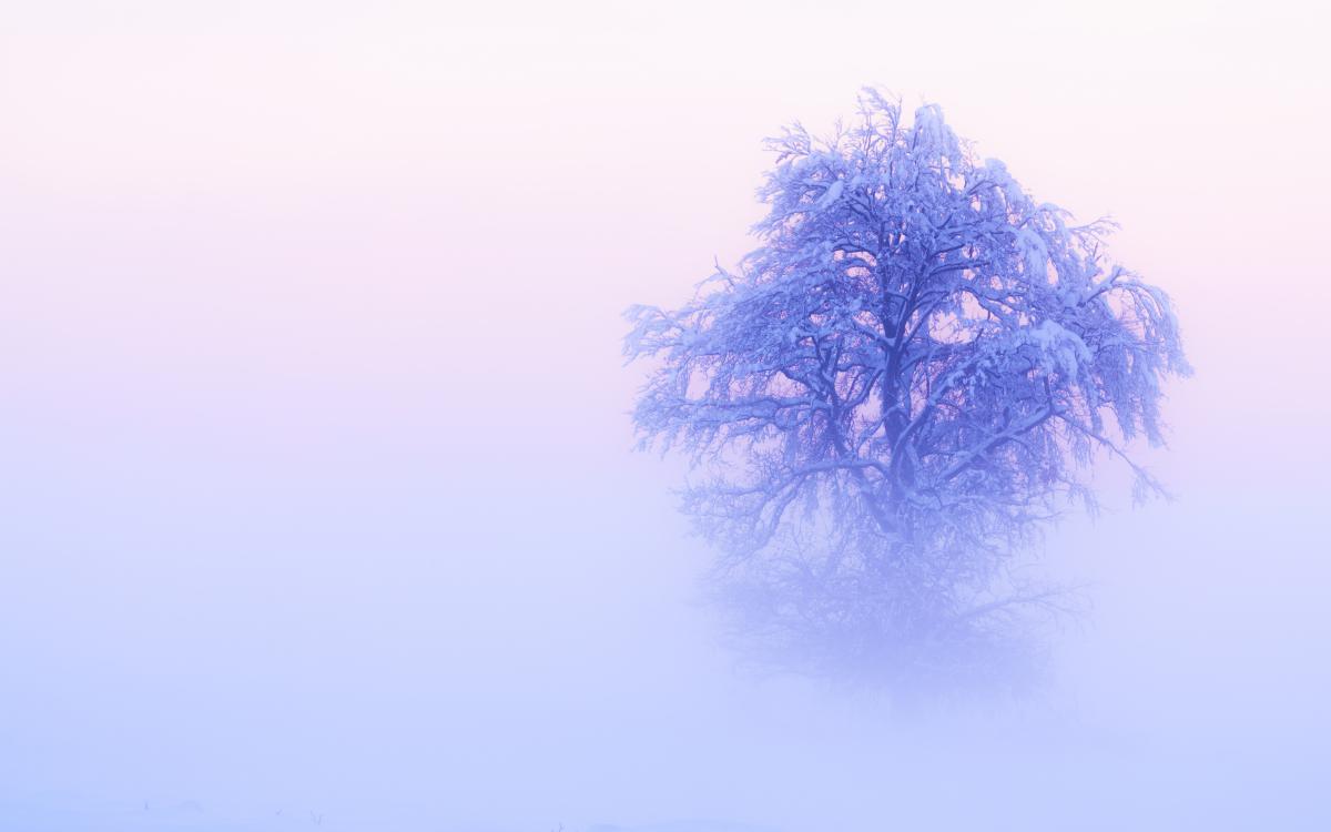 Szakolczai Krisztina