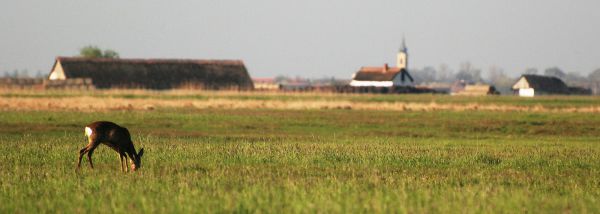 Hamisítatlan Hortobágy