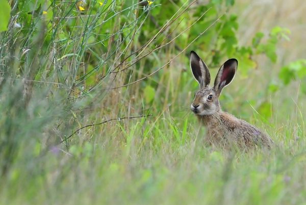 Csak a kép kedvéért...