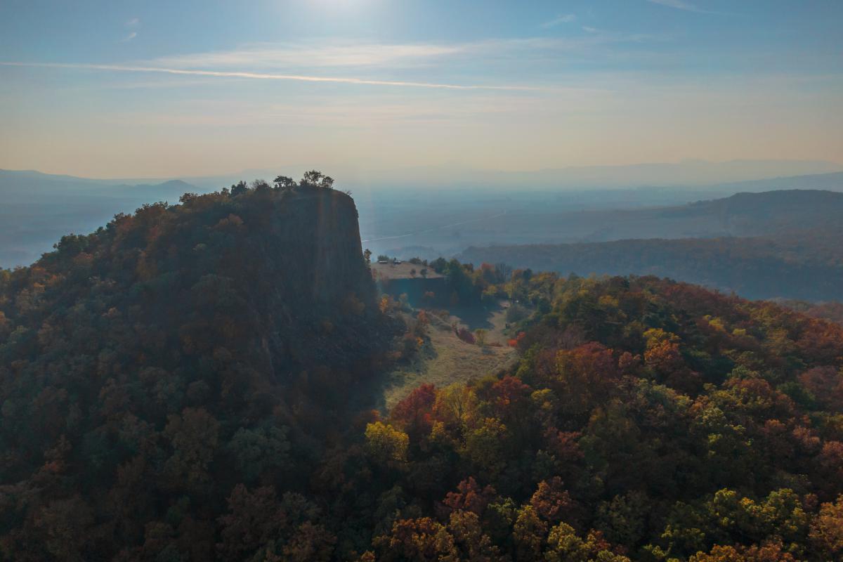 Gaál Zoltán Péter