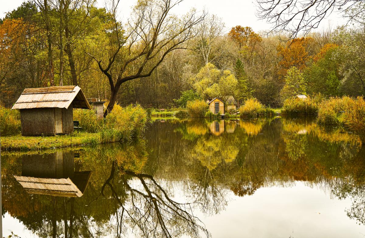 dr. Horváth Erzsébet