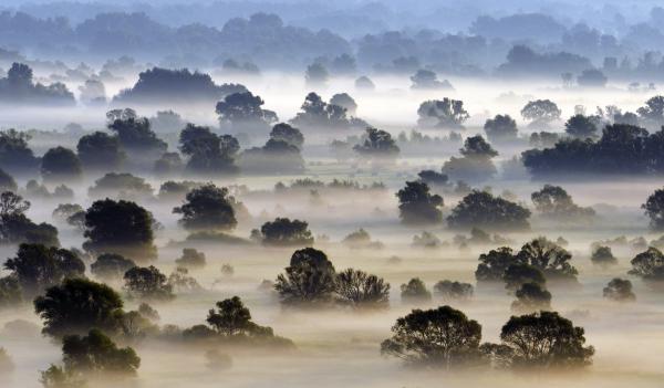 Reggeli színjáték