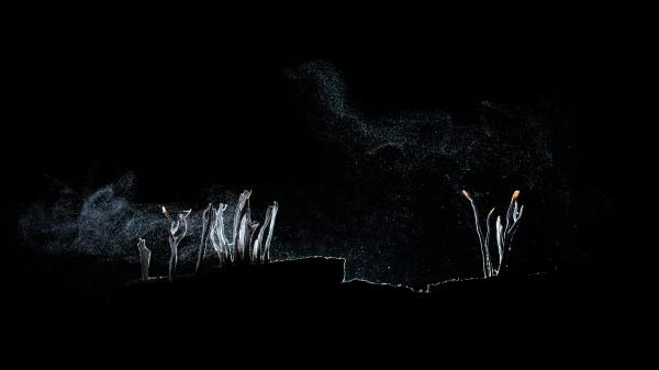 Füstölgő puskacsövek