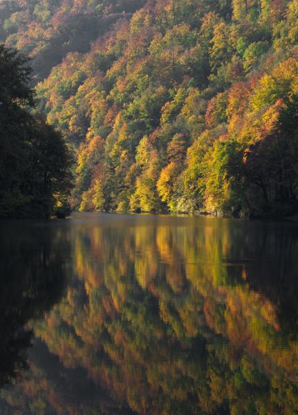 Színekben fürödve