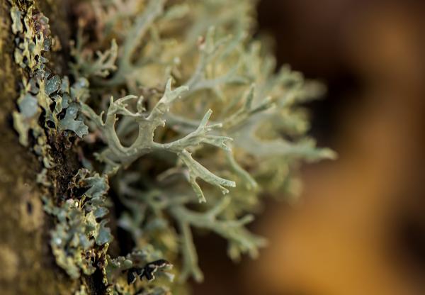 Fények és formák.