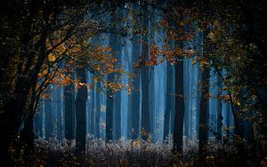 Kísértetek útja Kísértetek útja