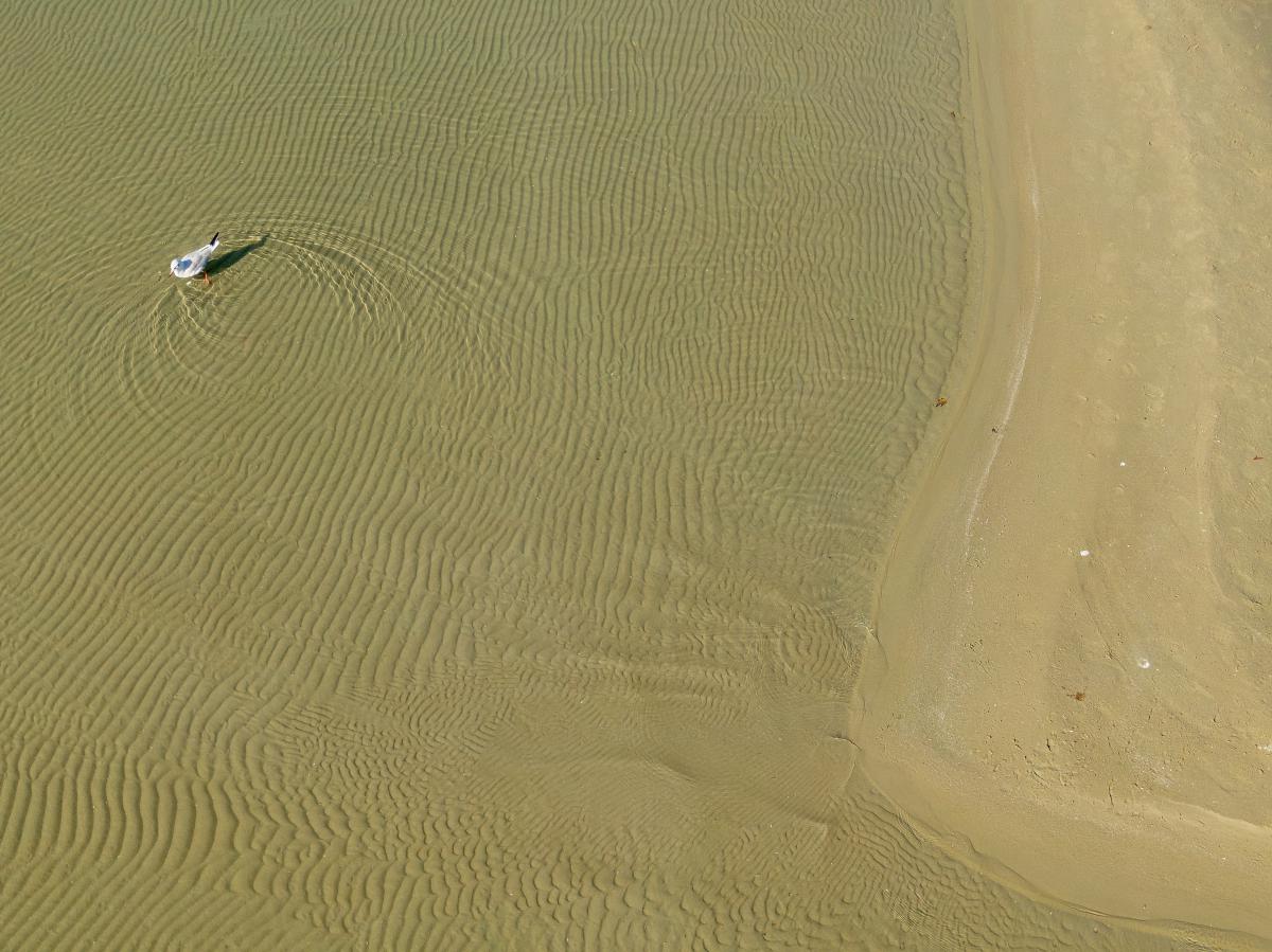 Gaál Zoltán Péter