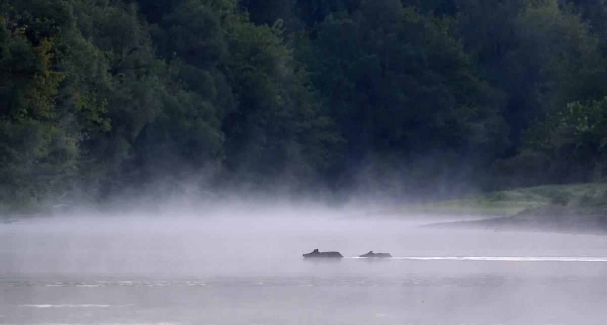 Násfayné Kőházi Mária