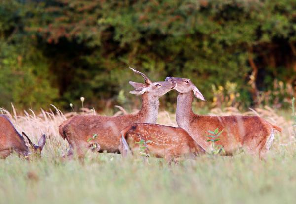 &quot;Menj innen&quot;