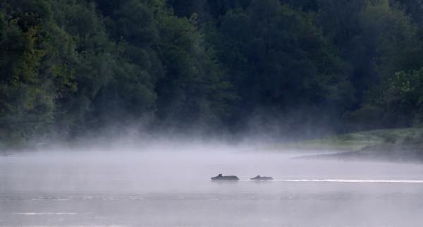 Mélyvíz csak úszóknak
