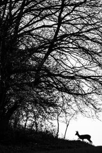 Be a rejtekbe.. Be a rejtekbe..