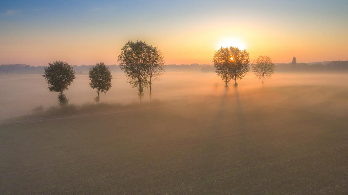 Koncz-Bisztricz Tamás
