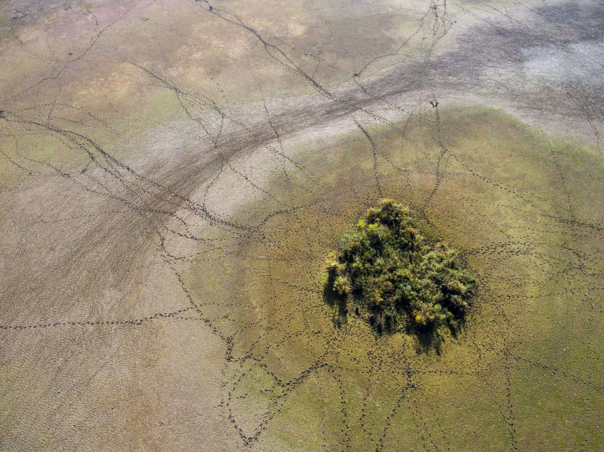 Koncz-Bisztricz Tamás