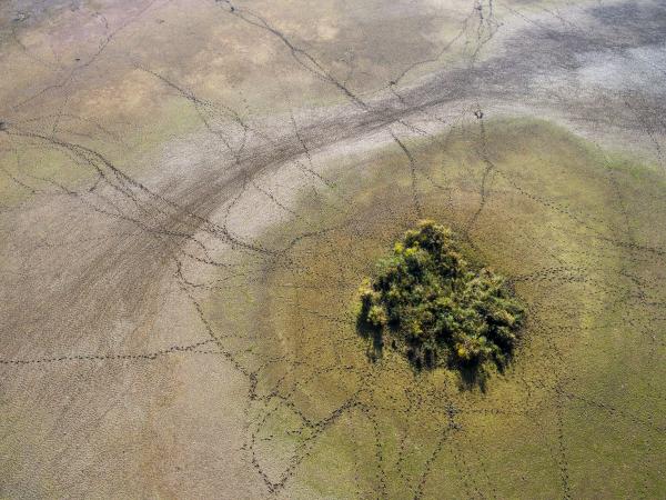 Minden út a nádashoz vezet
