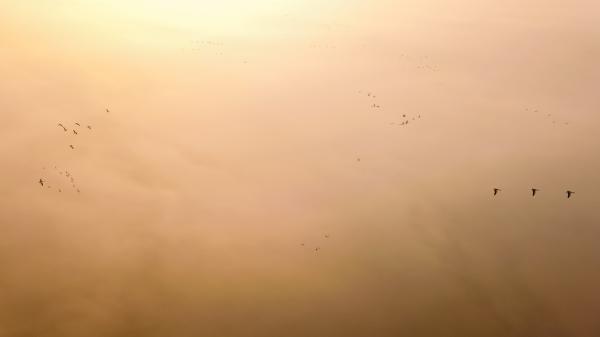 Félúton a mennyországba