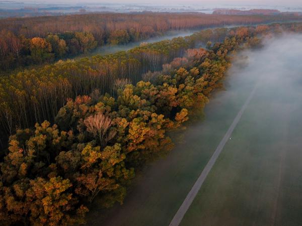 Tisza parti "korallzátony"