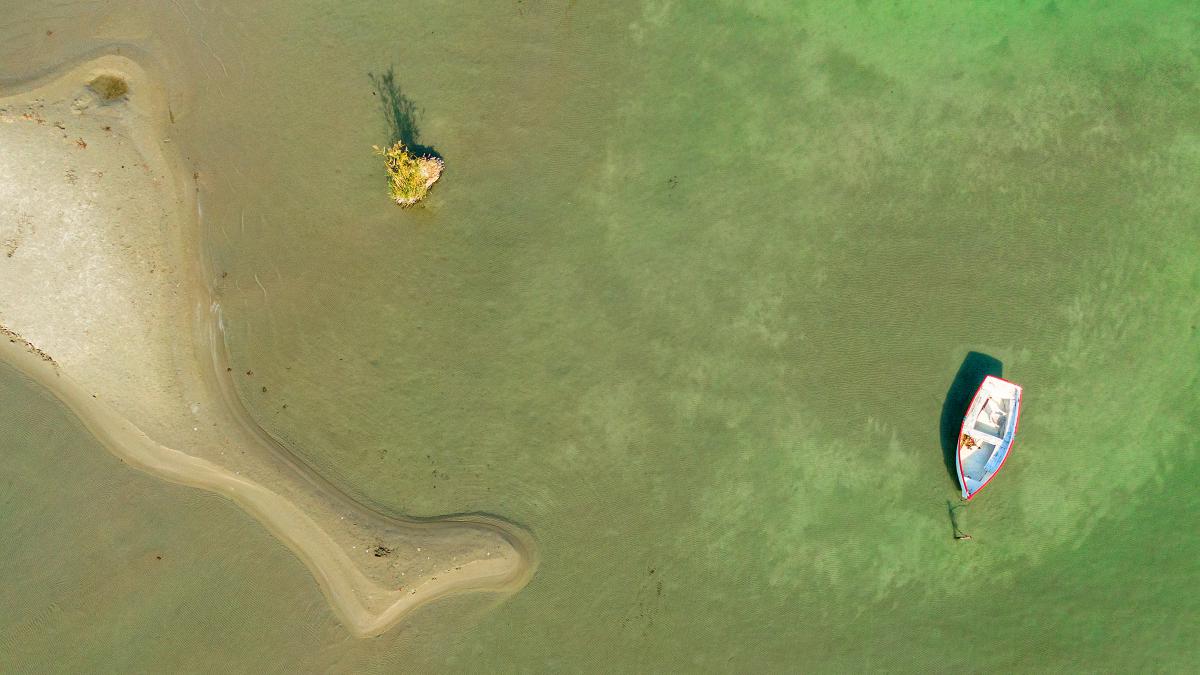 Gaál Zoltán Péter