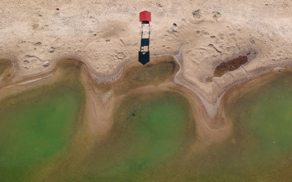 Koncz-Bisztricz Tamás